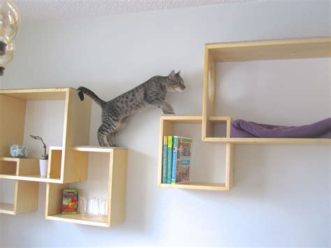 10 DIY Cat Climbing Wall Plans for Your House (With Pictures)